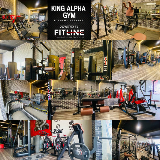 King Alpha Gym