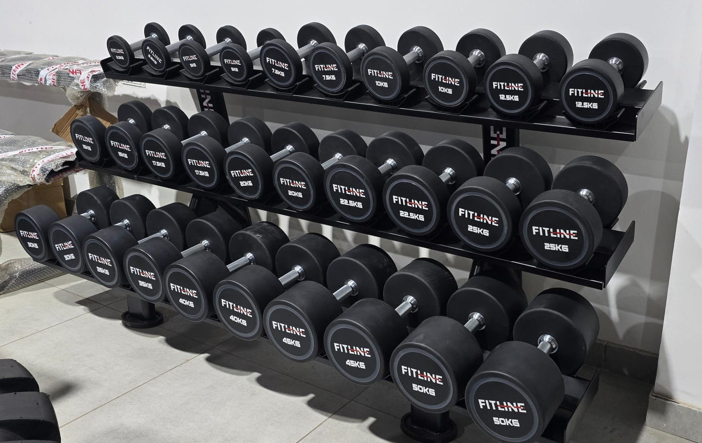 FitLine PU Dumbbell